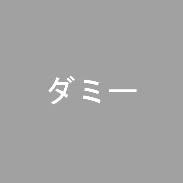 ダミー商品④